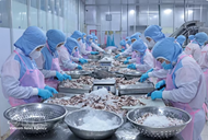 New opportunities for Viet Nam’s seafood exports